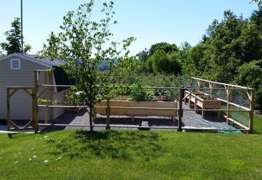 Wellness Garden