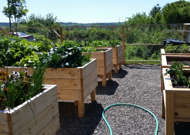 Wellness Garden