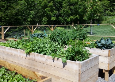 Wellness Garden